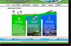 CLICK to goto the website